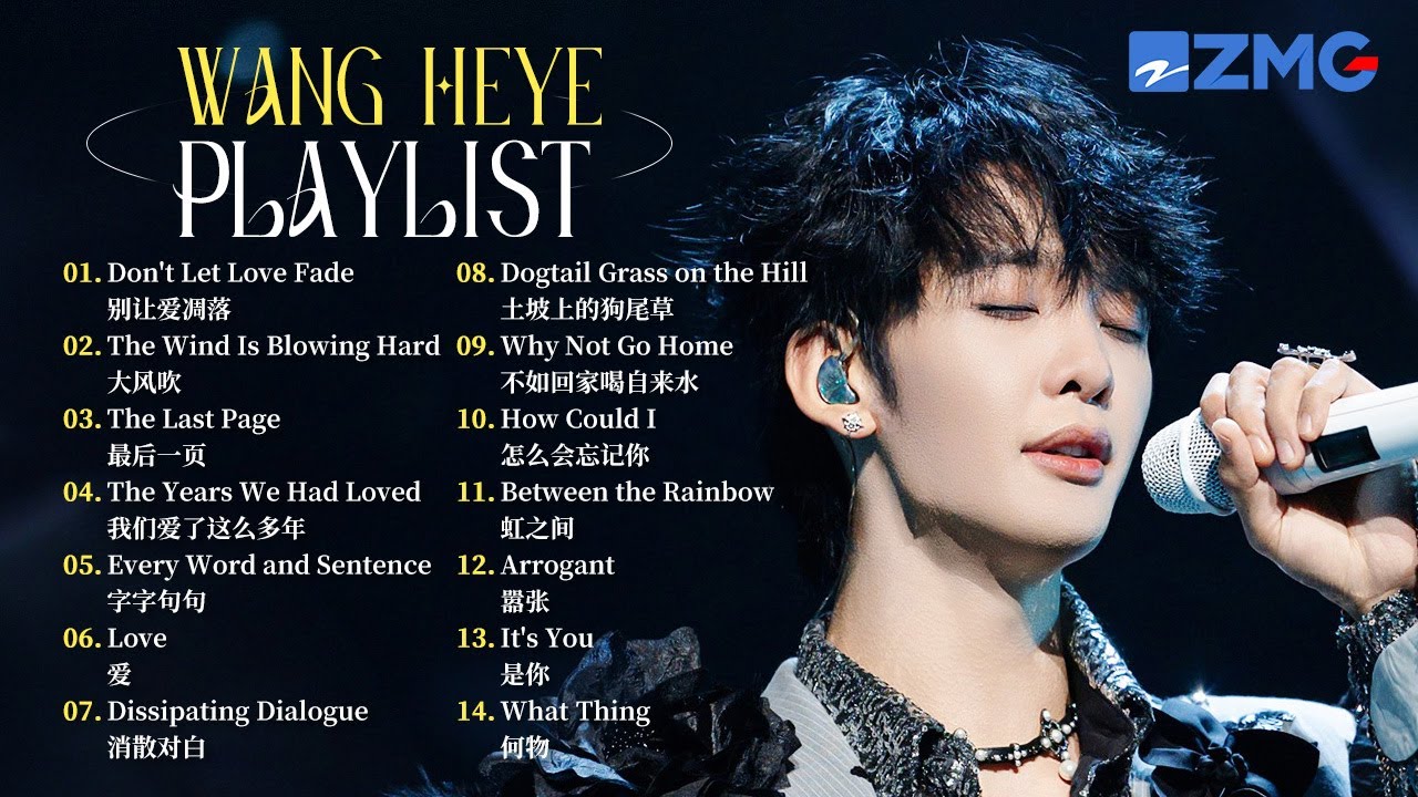 Wang Heye 2025 playlist of ultimate hits you can’t miss 🔥🎶 Every song a must-hear!