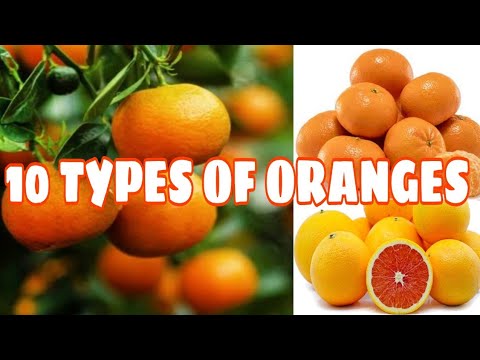 Video: Kaip Sužinoti Apelsinų įvairovę
