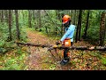 Exploring the trails + what's next | 40 acres in Vermont