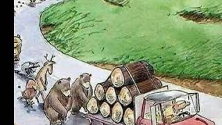 Doğaya Dokunmayın Anlamlı Karikatürler