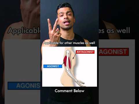 Agonist VS Antagonist