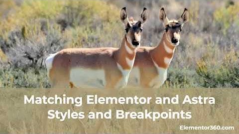 Match Elementor and Astra Styles and Breakpoints