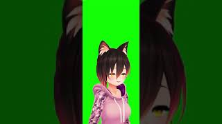 【🐈】👣👣