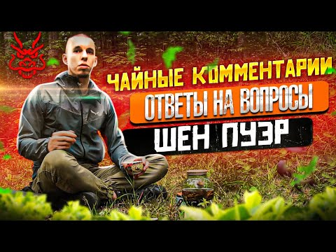 Чайные комментарии: какой чай пить утром, днём, вечером, хранение чая в морозилке, выбор чая по виду