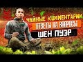 Как выбрать Шен Пуэр по внешнему виду? Какой чай пить утром, днём, вечером. Хранение чая в морозилке