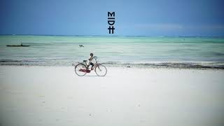 Vanco Feat. Bobbi Fallon - You Got The Moves (Caiiro Remix) Midh 