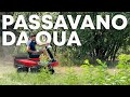 Le LEPRI stanno MANGIANDO gli ORTAGGI