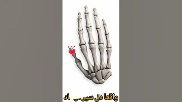 معما سرگرمی 