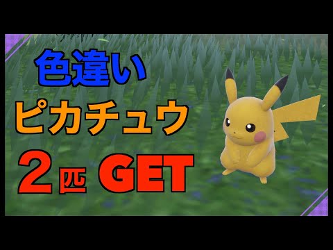 色違い6枚まとめ売り pt1 pt2 pt3 ハスボー ジーランス ピカチュウ ポケモンカードゲーム(ポケカ) ピカチュウ [CLL 008/032