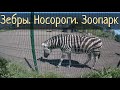 Старооскольский зоопарк. Носороги. Жираф / Субботние Путешествия