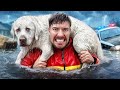 Saved 1000 Animals From Dying!