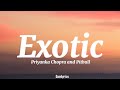 Priyanka chopra  exotic ft pitbull lyrics