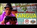 ATENCION AMIGOS DE TANGUA