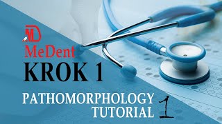 Krok 1 Base | Pathomorphology | Tutorial 1 screenshot 5