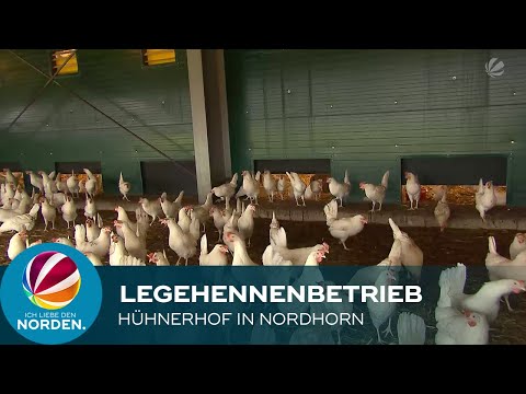 Video: So Eröffnen Sie Einen Bauernhof