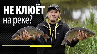 ОШИБКИ при ловле фидером на реке / Как заставить рыбу клевать?