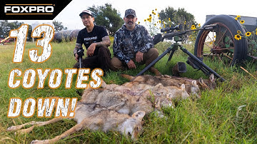 Oklahoma Coyote Frenzy - Coyote Hunting