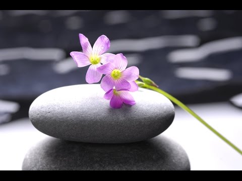 3 Hour Zen Music: Deep Meditation, Chakra Music, Relaxation Music, Background Music, Relaxing ☯2354
