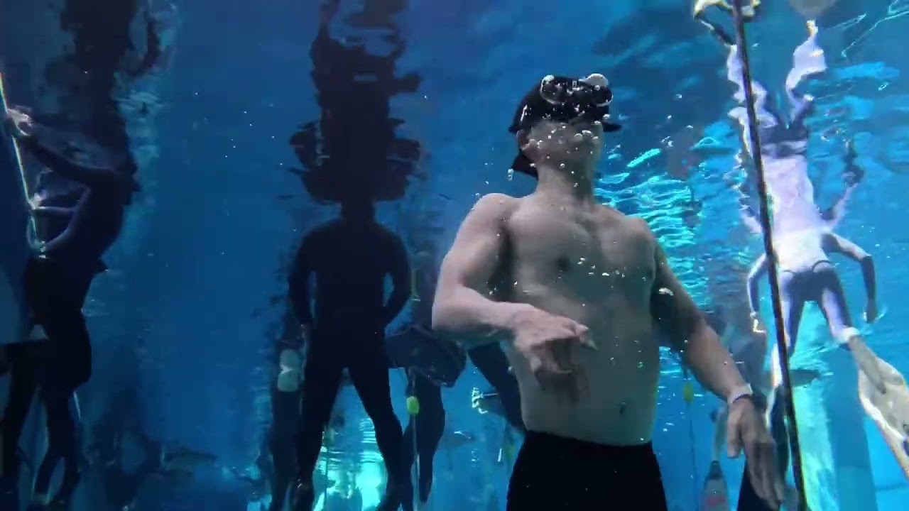 딥스테이션 현실