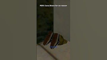 GTA San Andreas Cave Diver Meme #gtasanandreas #samp #memes