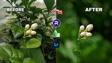 Flower photo editing tutorial | Background blur in PhotoRoom | Lightroom color grading
