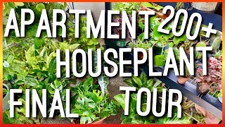 FINAL APARTMENT BEDROOM HOUSEPLANT TOUR! 200+ INDOOR PLANTS IN A APARTMENT 2020 HOUSEPLANTS INDOORS