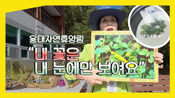 [라이브방송(10.08) 편집본] 숲해설가가 전해드리는 용대자연휴양림 - 내 꽃은 내 눈에만 보여요!