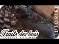  tutoriel  fruits des bois