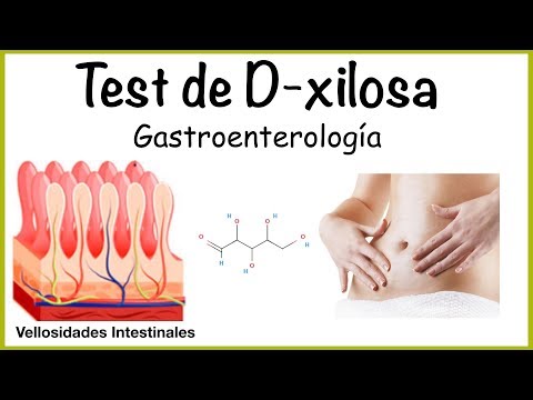 Vídeo: Prueba De Absorción De D-xilosa: Usos, Resultados, Riesgos Y Más