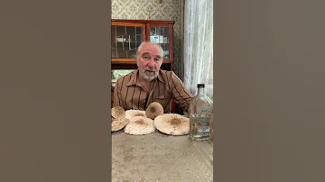 Почему нельзя грибы есть грибы и пить водку