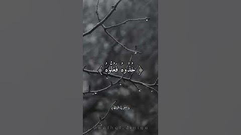 #تلاوة__خياليــــةة 🔥😍 | زكريـــاء سريري