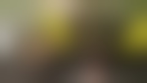 Week 1 of flower, Witches Fruit, Mars Hydro SP250