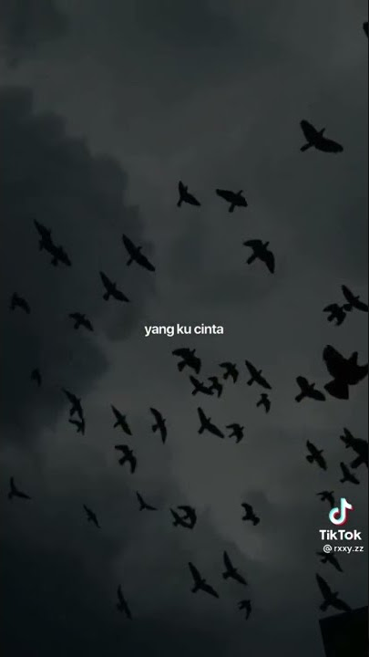 LAGU GALAU SEORANG YANG KU CINTAA OOOOOOOOHHHH KINI KU MENEMUKANMU😭😭😭😭