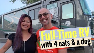 Full-Time RV with 4 cats and a dog by RV Adventures With Pets 12,593 views 4 years ago 5 minutes, 40 seconds