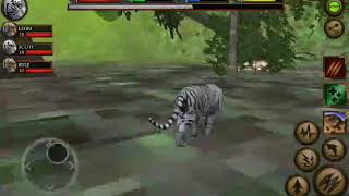 Tiger Attack on Giraffe, She Kill is Losed - Ultimate Jungle Simulator
