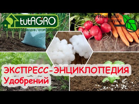 ВСЁ ОБ УДОБРЕНИЯХ за пару минут! ЧЕМ (НЕ) СТОИТ КОРМИТЬ РАССАДУ.
