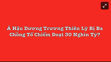 Dương Trương Thiên Lý Bị Ba Chồng Tố Cáo Chiếm Đoạt 30 Nghìn Tỷ VND = 1.25 Tỷ USD