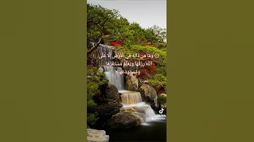 تلاوة عذبة للشيخ صلاح باعثمان #quran