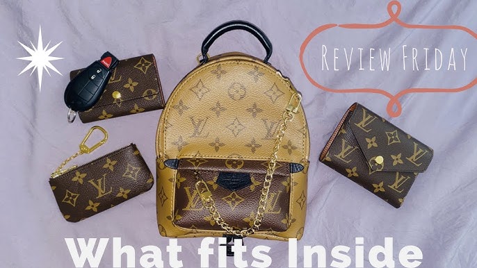 LOUIS VUITTON Monogram Reverse Palm Springs Mini Backpack M42411 LV Auth  29556a ref.636776 - Joli Closet