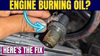 Engine Burning Oil? Heres The Fix That Actually Works