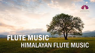 Flute Music | Himalayan Flute Music | Relaxing Music | (बाँसुरी) Aparmita Ep. 108