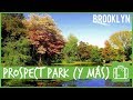 Brunch en Brooklyn + Prospect Park + MetroCard | Vlog EEUU 2