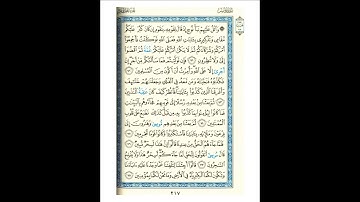 القرآن الكريم صفحة رقم 217 برواية الدوري عن الكسائي  القارئ مفتاح السلطني