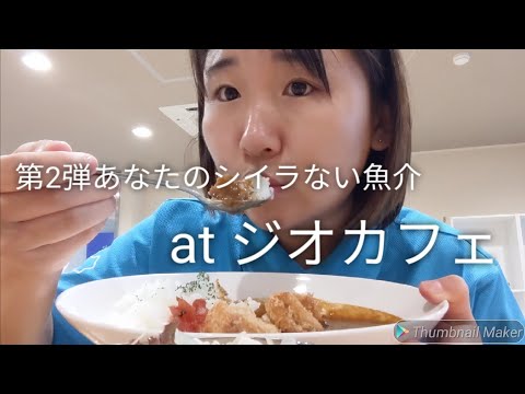 第２弾あなたのシイラない魚介at ジオカフェ Youtube