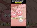 双子なのに顔ちがう!? 驚きの理由!