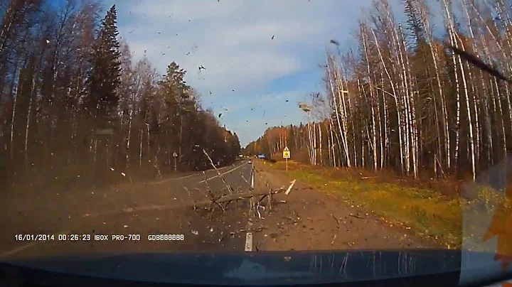 Falling Tree Causes Two Cars to Crash || ViralHog