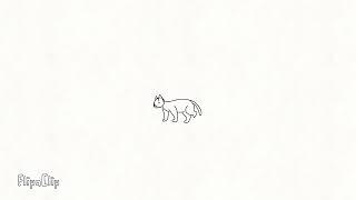 cat walking test 1