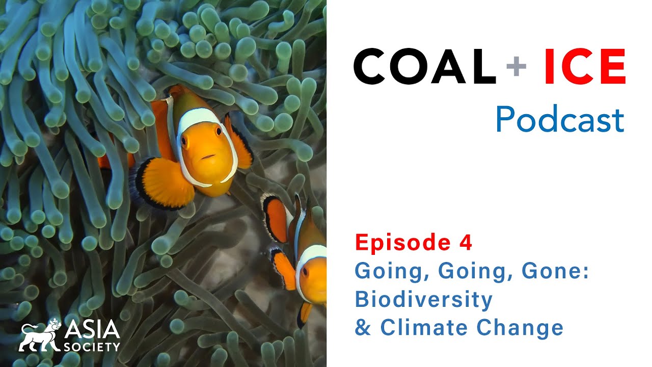 Coal + Ice Podcast | Ep4: Going, Going, Gone: Biodiversity and Climate Change