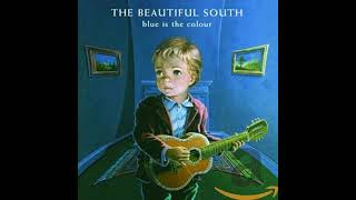 The Beautiful South  Dont Marry Her