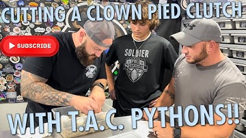 CUTTING OUR CLOWN PIED CLUTCH WITH T.A.C. PYTHONS!!!